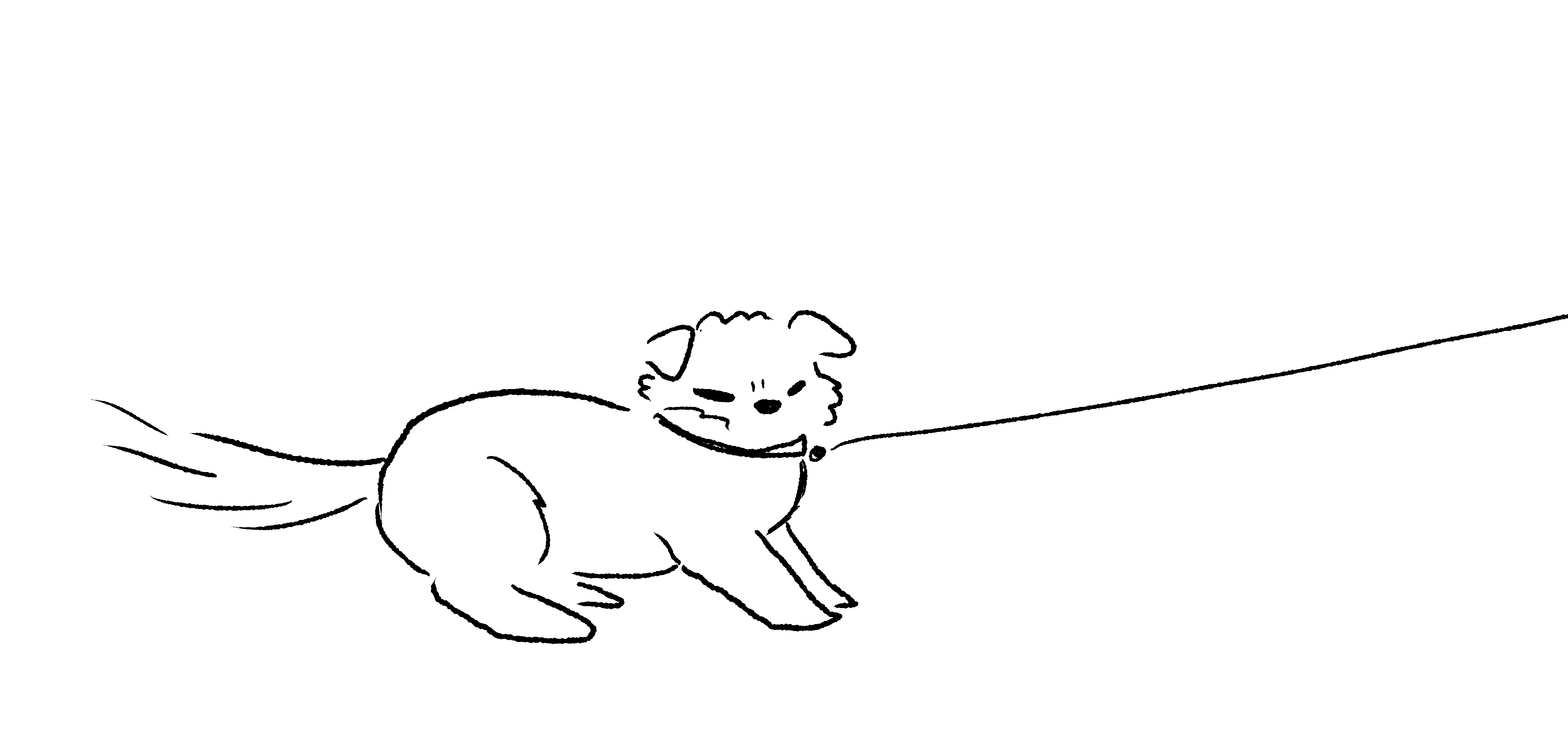 finished line animation